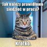 kikulkaVIP22