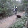 chdownhill