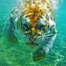 »°☼¤GATA¤☼°«