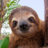 Slothnator
