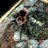 Tarantula_57