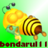 bondarul11