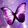 aminariy