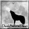 DuskBeforeDawn