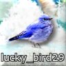 lucky_bird29