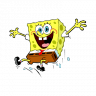 SPONGE