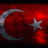 RepucLicKRALOktay