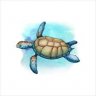 Seaturtle
